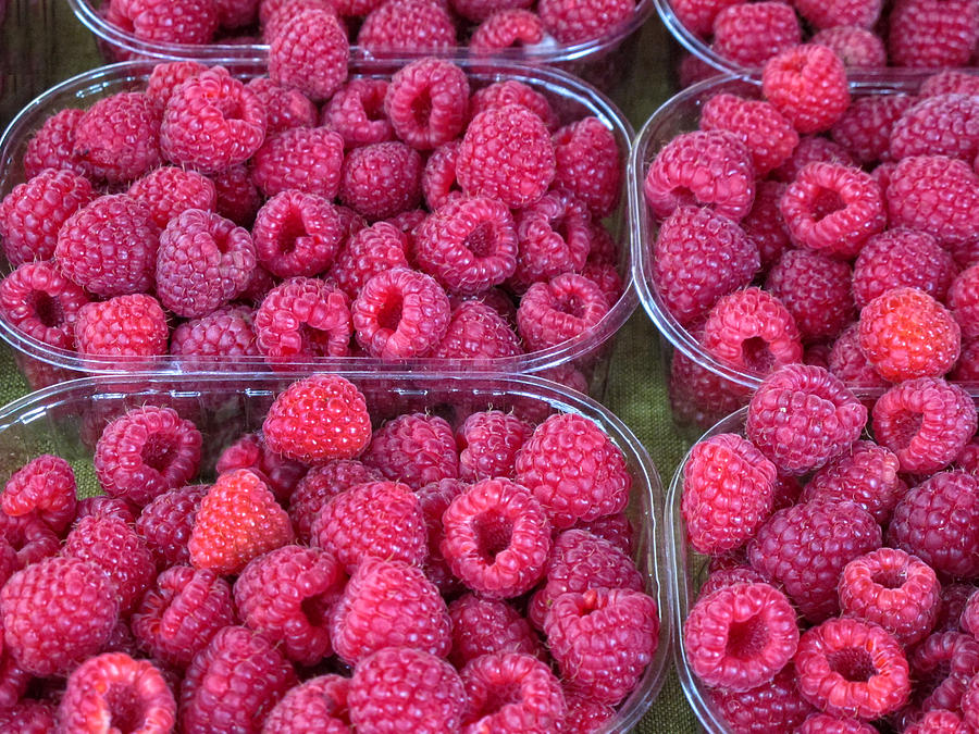 Raspberries Photograph by Dave Mills