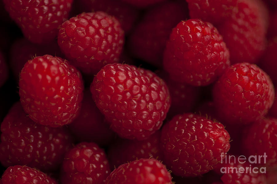 Raspberries Photograph by Jim Corwin