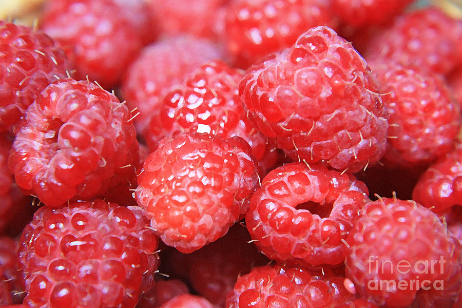 Fruit Photograph - Raspberries by Lali Kacharava