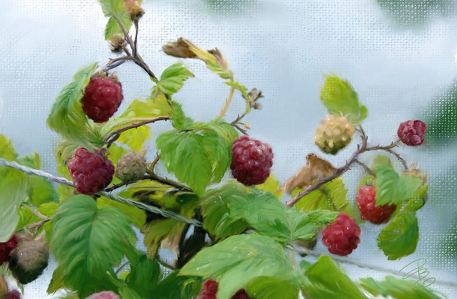 Raspberries on a fence Digital Art by Debra Baldwin