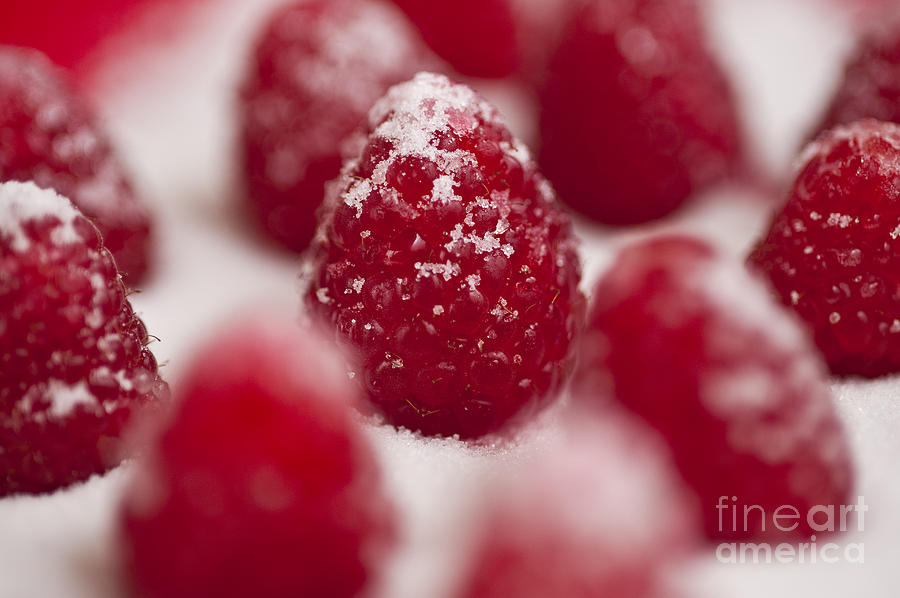 Raspberries Sprinkled With Sugar Photograph by Jim Corwin