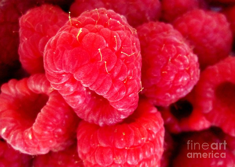 Raspberry Delight Photograph