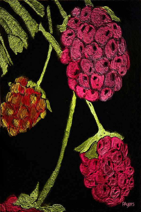 Raspberry Fabric Painting by Paula Ayers