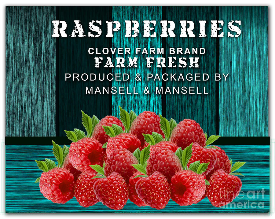 Raspberry Mixed Media - Raspberry Farm by Marvin Blaine