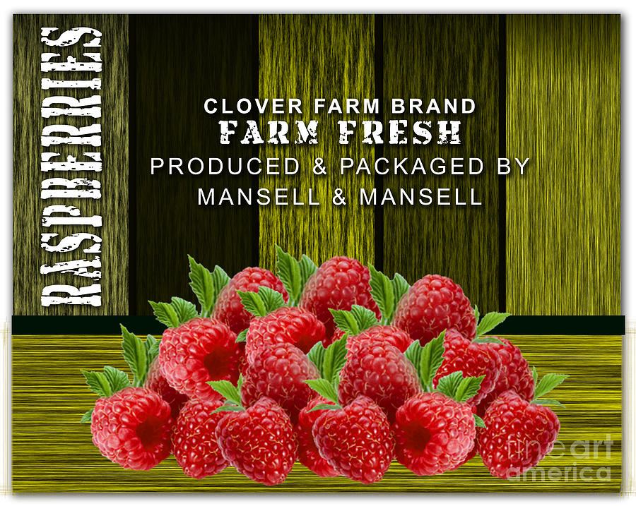 Home Mixed Media - Raspberry Fields by Marvin Blaine