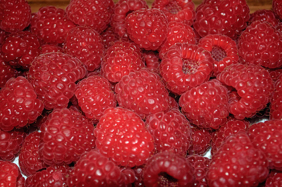 Raspberry Jam Photograph by Tikvahs Hope