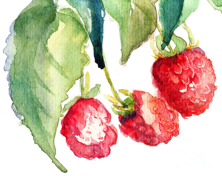 Raspberry Painting by Regina Jershova