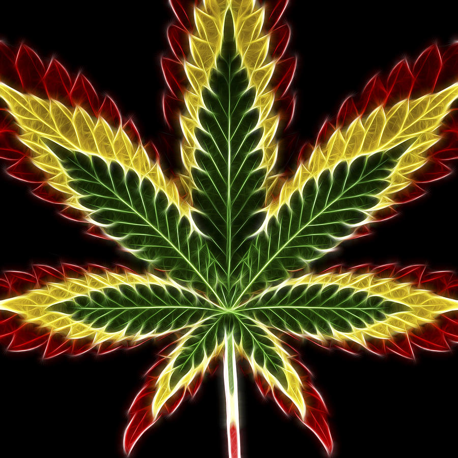 Rasta Marijuana Digital Art by Adam Romanowicz