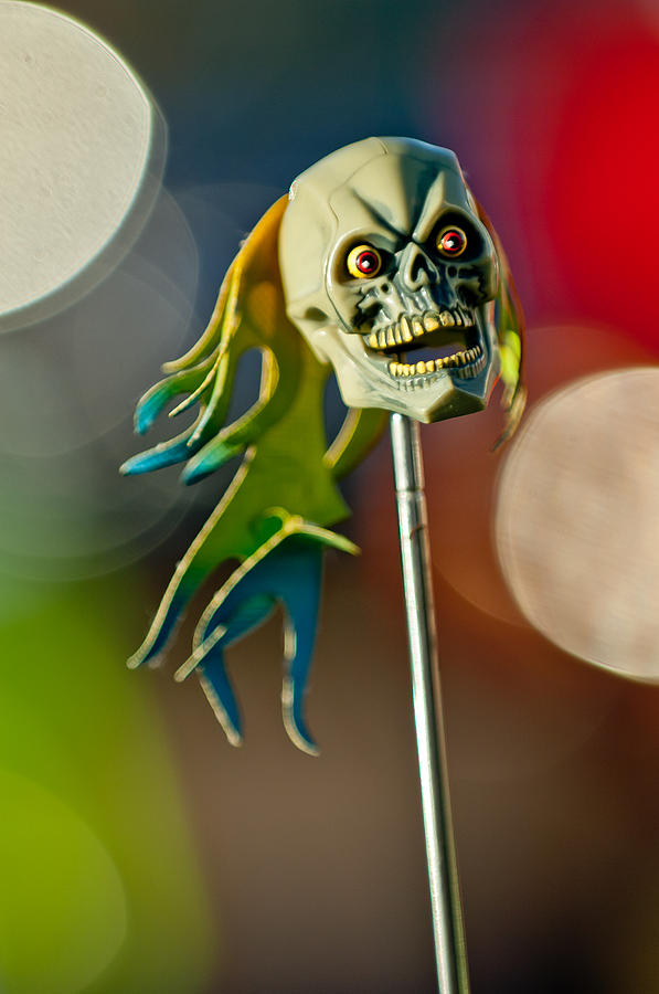 Car Photograph - Rat Rod Antenna Skull  by Jill Reger