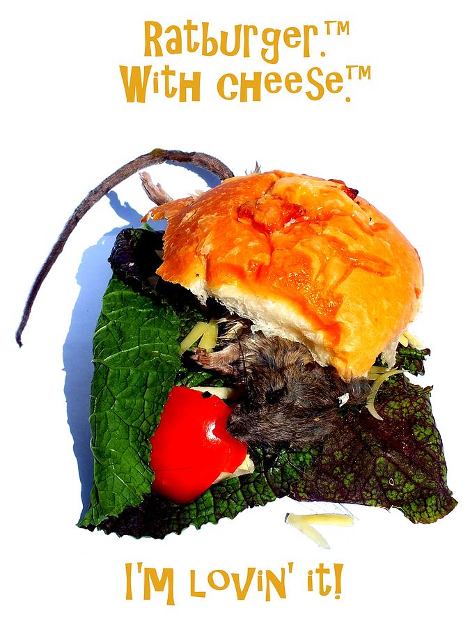 Ratburger with cheese Photograph by Guy Pettingell