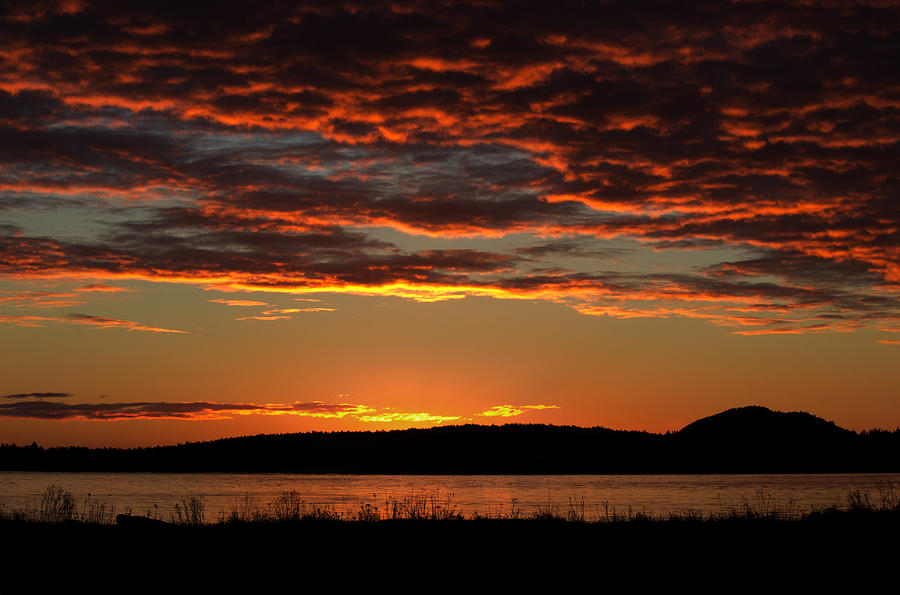 Rathtrevor Sunrise Photograph by Randy Hall