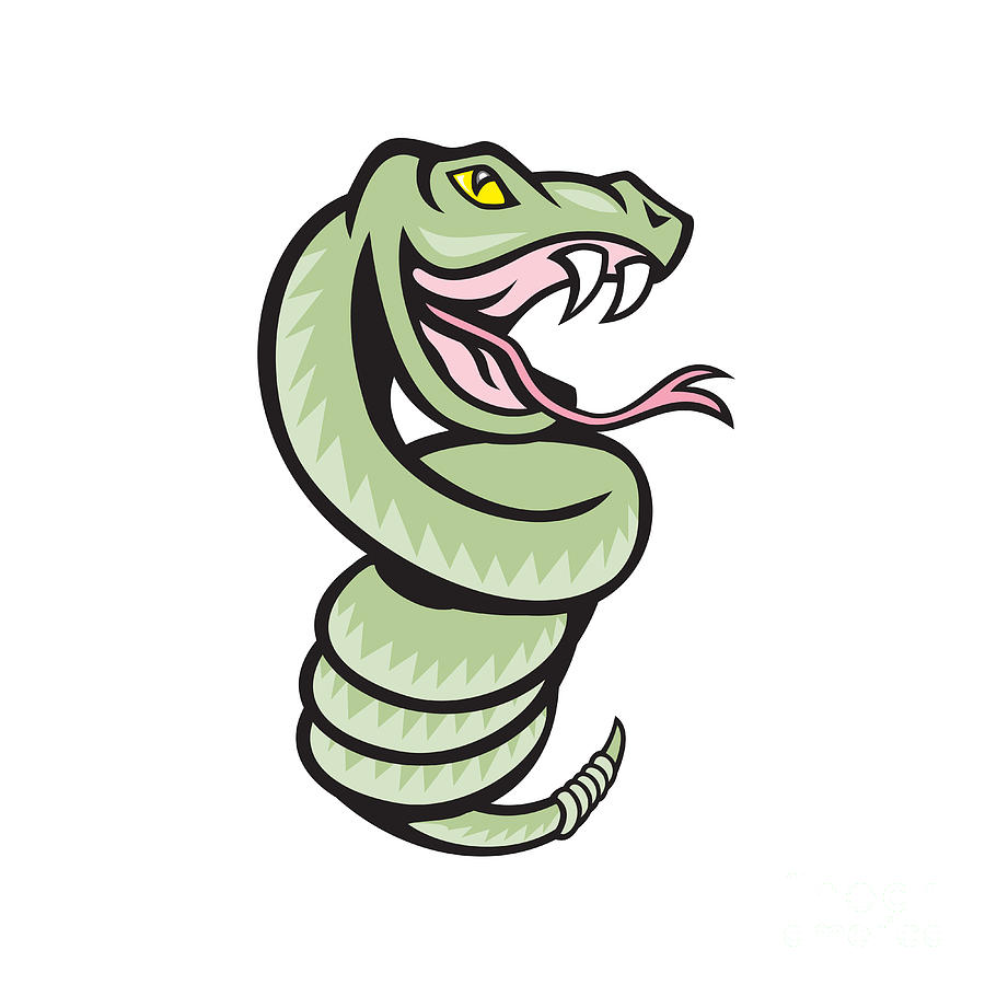Rattle Snake Coiling Up Cartoon Digital Art by Aloysius Patrimonio - Pixels