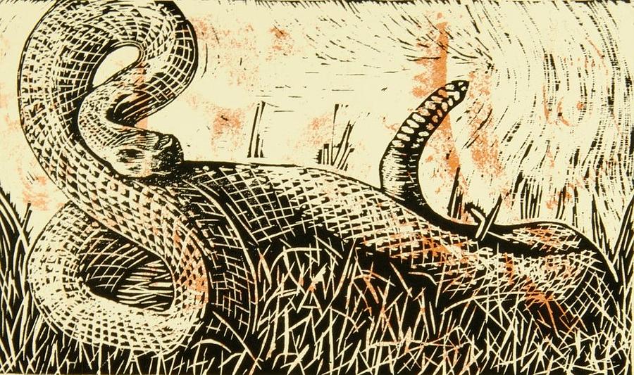 Snake Drawing - Rattlesnake by David Honaker