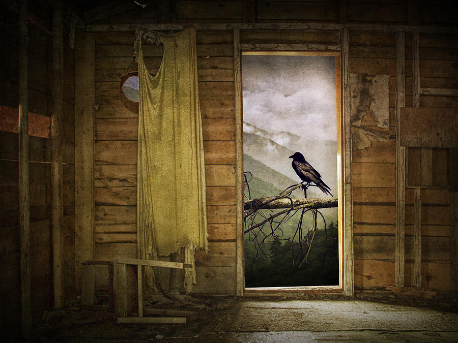 Raven at the open door Photograph by Randall Nyhof