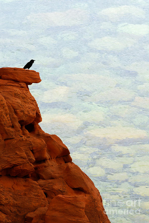 Raven on a red cliff Photograph by Les Palenik