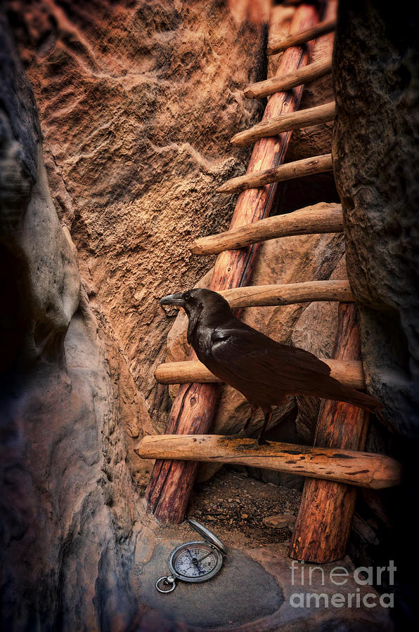 Raven on Ladder with Compass Photograph by Jill Battaglia