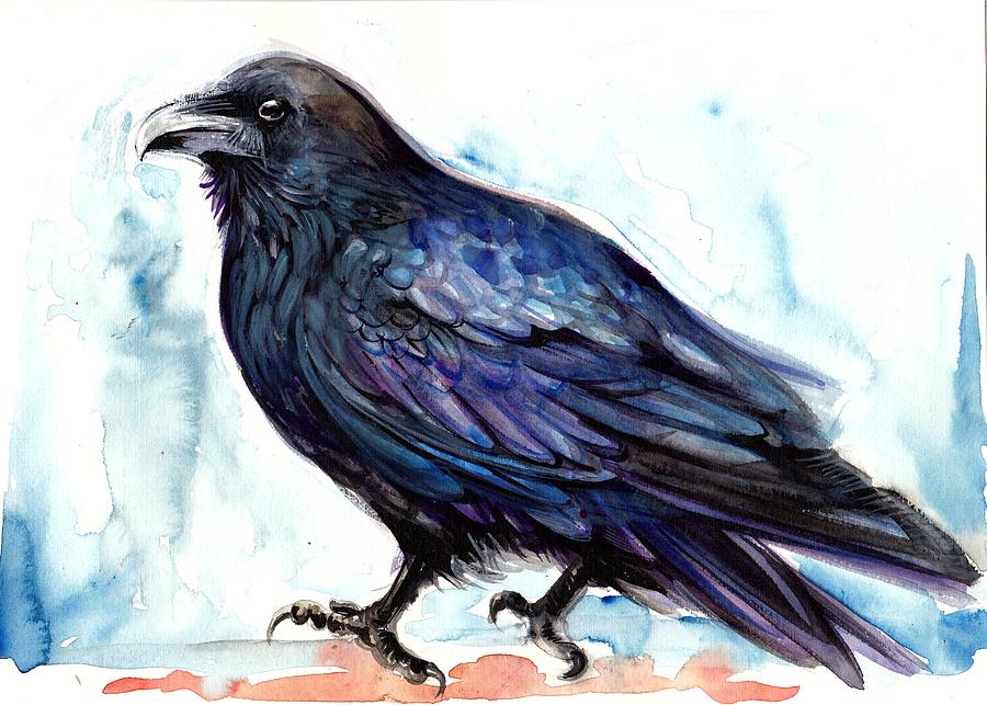 Birds: Raven