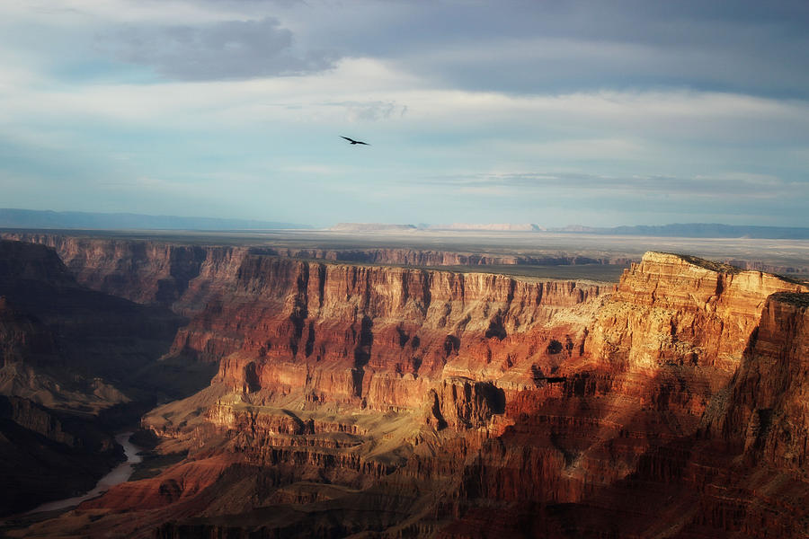 Raven Sky by Valerie Loop - Fine Art America