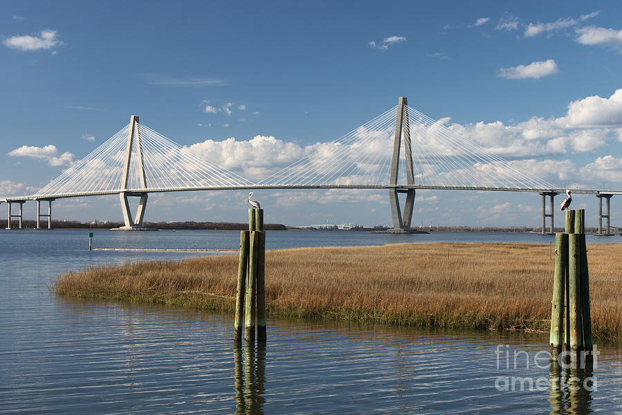 Ravenel Bridge Charleston Photograph by Cortney Price