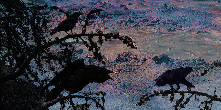 Ravens warming over volcano pots Photograph by Sandra Selle Rodriguez