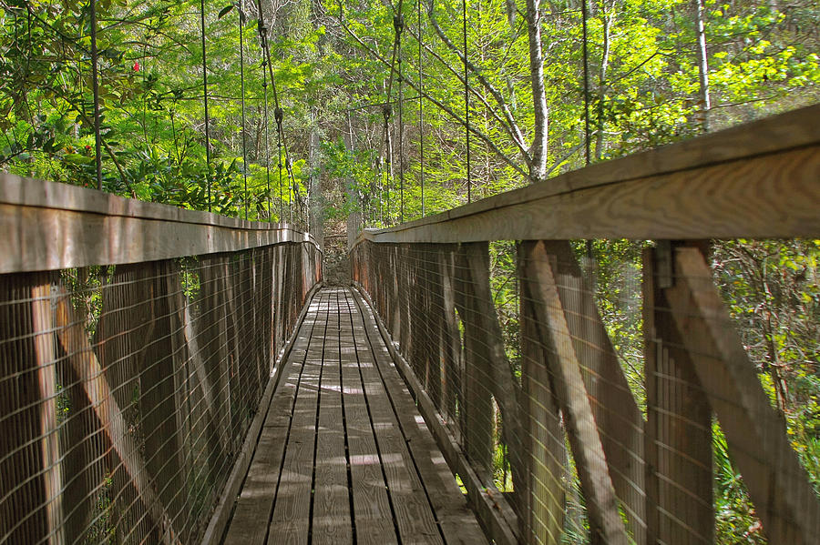 Bridge Photograph - Ravine Gardens - Floridas hidden treasure by Alexandra Till