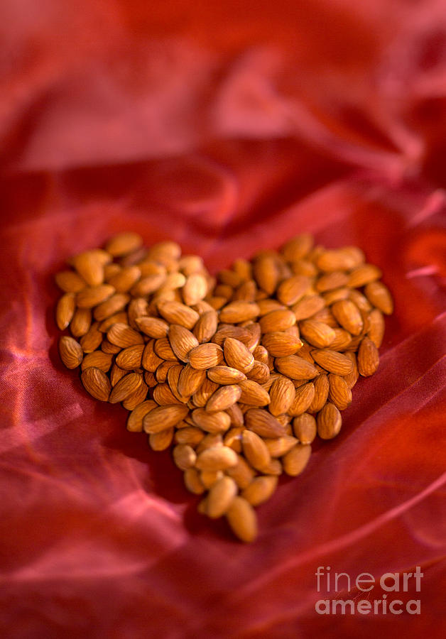 Almond Heart Photograph by Iris Richardson