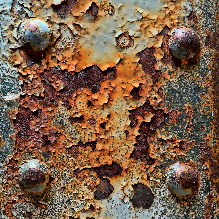 Raw-extract Photograph by Tom Druin