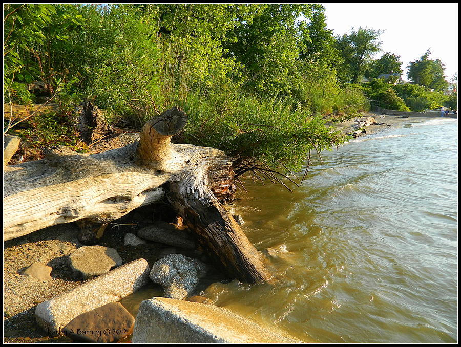 Raw Lake Erie Shore Photograph by Kathy Barney