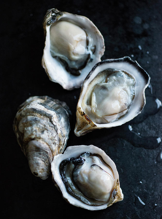 Raw Oysters Photograph by Jack Andersen