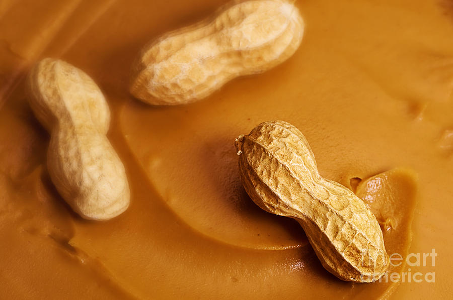 Raw Peanut in Peanut Butter Photograph by Danny Hooks