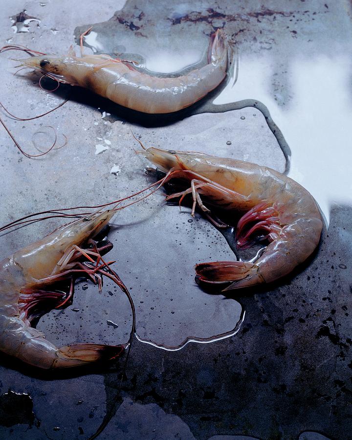 Raw Shrimp Photograph by Romulo Yanes