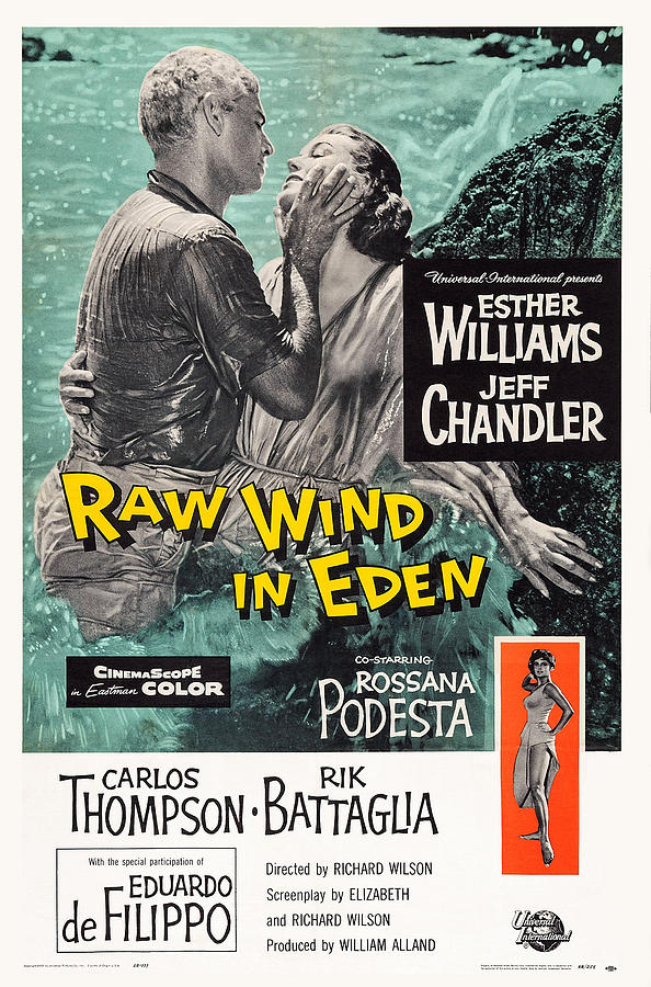 Raw Wind In Eden, Us Poster Art, Top Photograph by Everett
