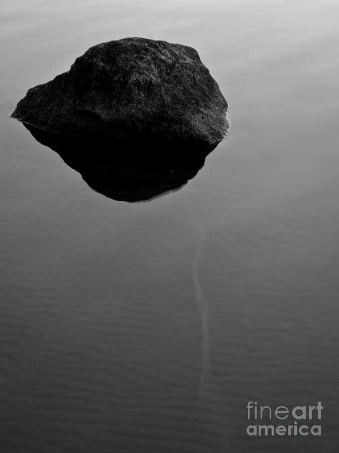 Reflection Photograph - Ray by Agata Wisniowska Reflection Photograph - Ray by Agata Wisniowska