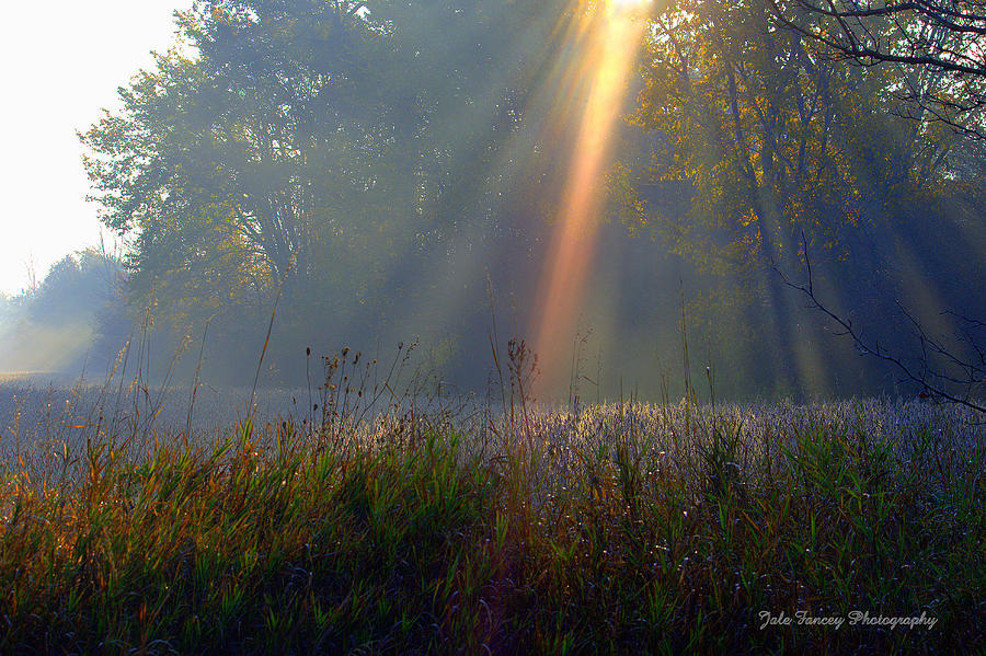 Ray of Hope Photograph by Jale Fancey