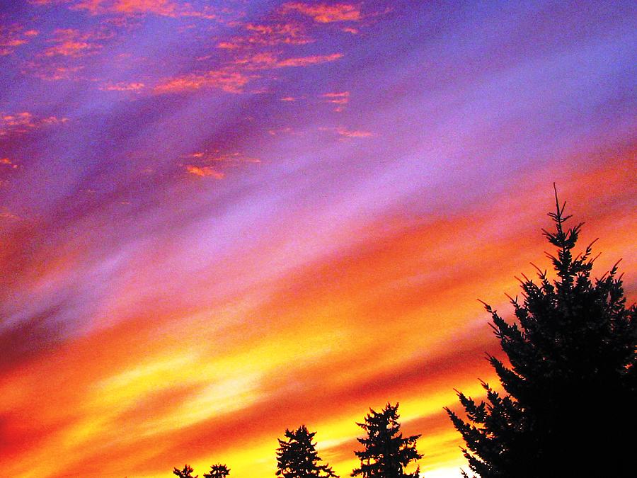 Sunset Photograph - Ray Of Hope by Judyann Matthews