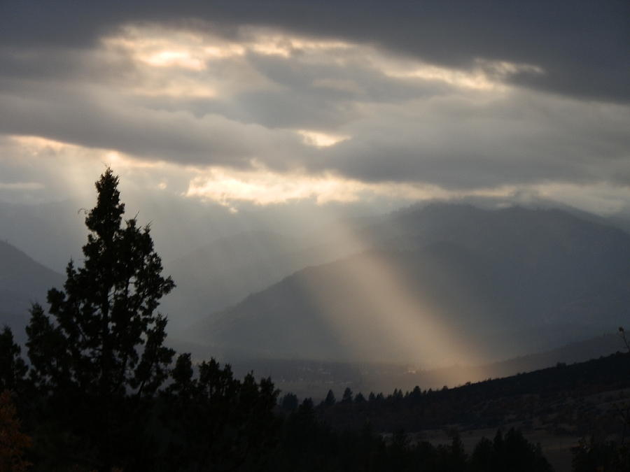Ray of Light  Photograph by William McCoy
