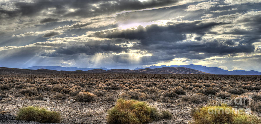 Rays of Desert Light Photograph by Dianne Phelps