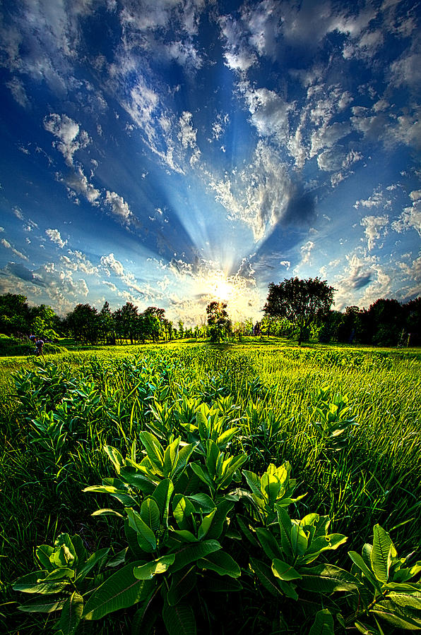 Nature Photograph - Rays of Hope by Phil Koch