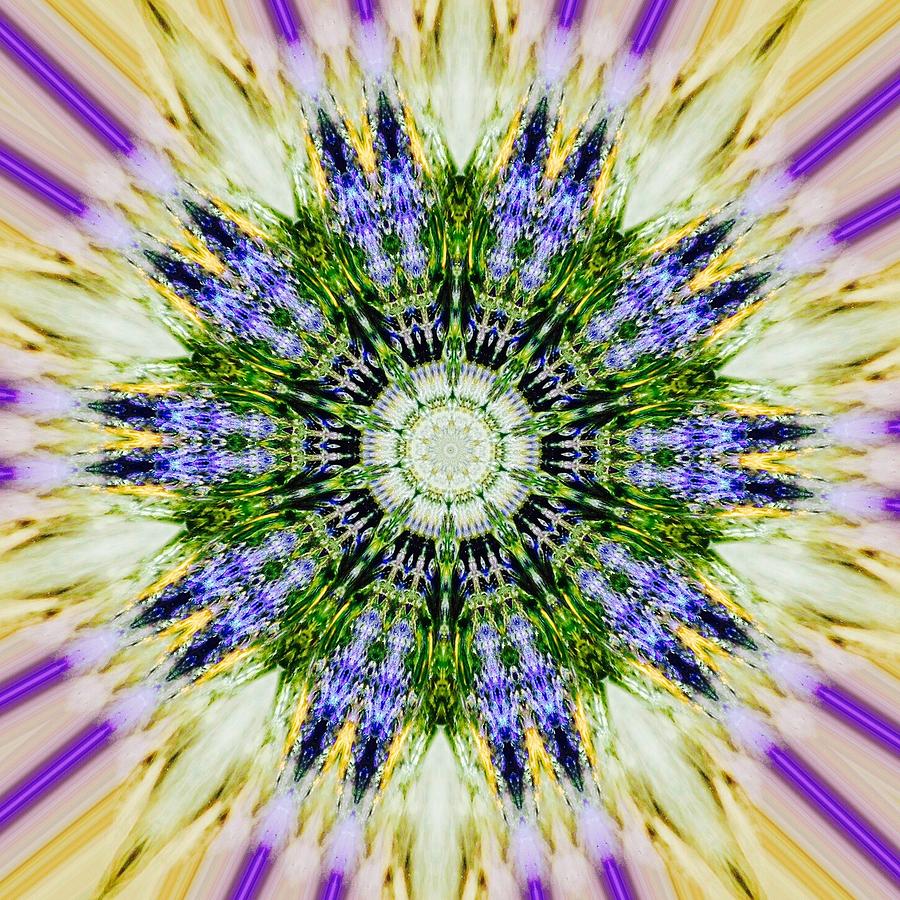 Rays Digital Art by Rich Ackerman Fine Art America