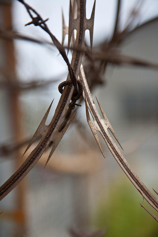 Razor Wire Photograph by Peter Tellone