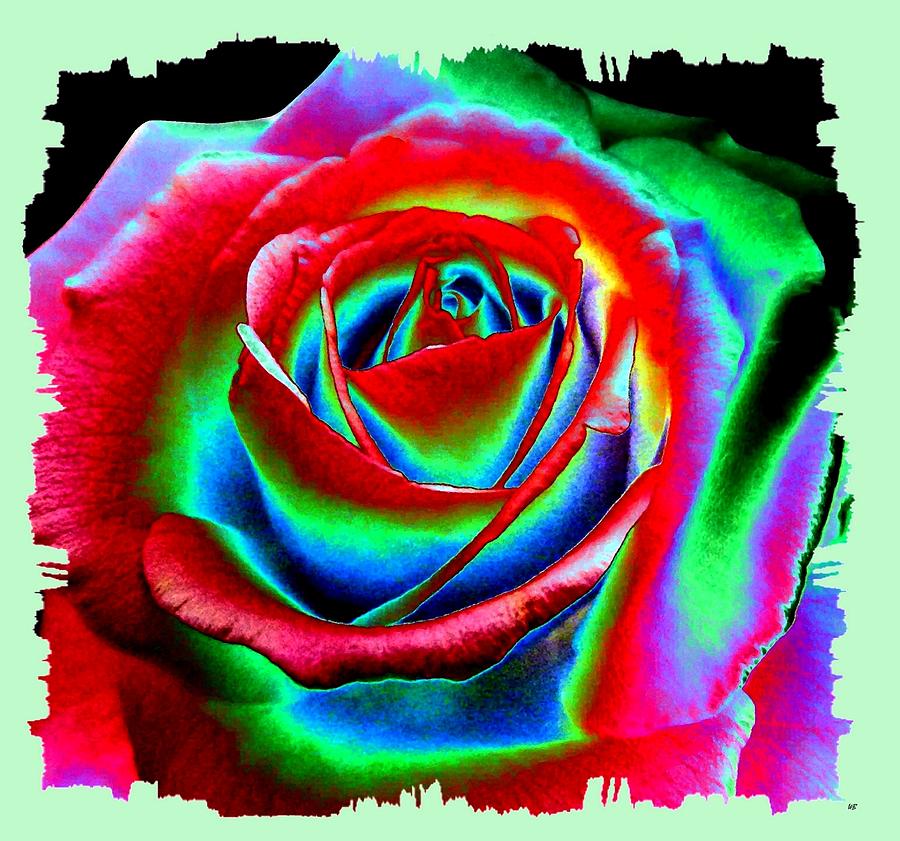 Razzle Dazzle Rose Digital Art by Will Borden