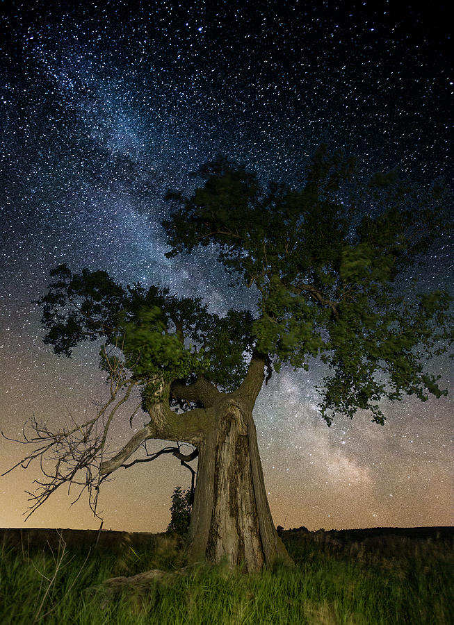 Reach for the Stars Photograph by Aaron J Groen