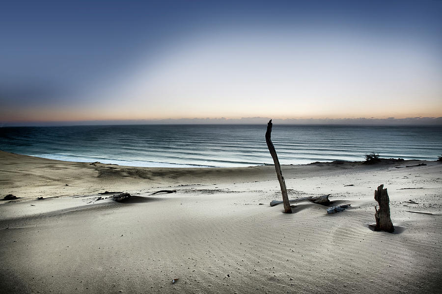 Beach Photograph - Reach For The Sun by Mel Brackstone