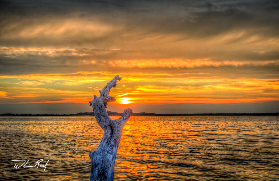 Sunset Photograph - Reach for the Sun by William Reek