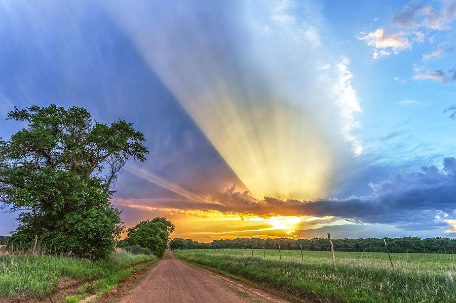 Sunset Photograph - Reaching for Heaven by Jill Van Doren Rolo