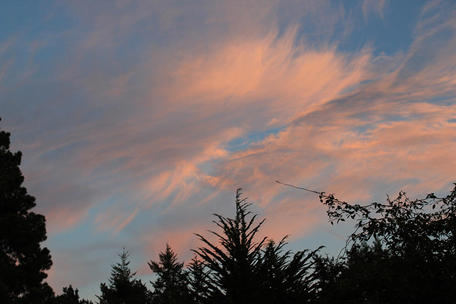 Reaching Into Sunset Photograph