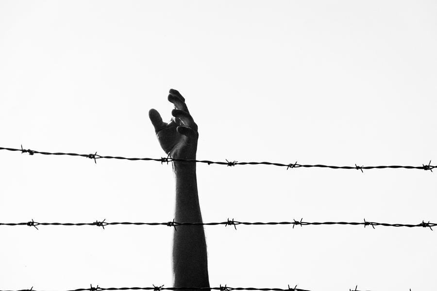 Reaching Freedom Photograph by Marcia Straub