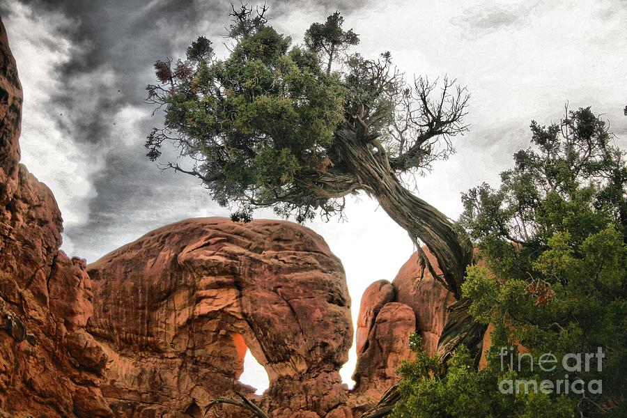 Arches National Park Photograph - Reaching to the Sky by Katherine Karsten