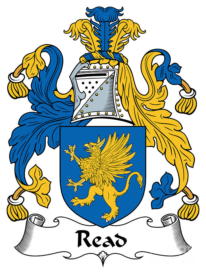 Read Coat of Arms Irish Digital Art by Heraldry | Pixels