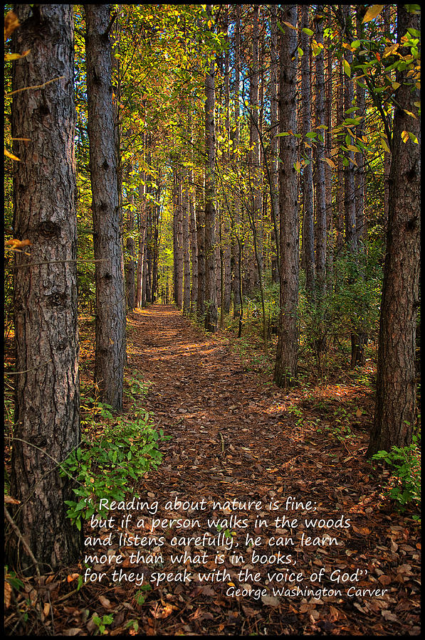 Reading About Nature Photograph by Ward McGinnis - Pixels